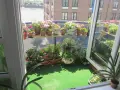 Balkon inspiracje: kwitnące pelargonie i zioła na zielonym trawniku, z widokiem na rzekę i budynki.