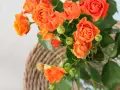 Pomarańczowe róże w wazonie. Co dodać do wody, żeby róże dłużej stały? Odpowiedź: odżywka do kwiatów ciętych.