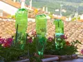 Proste nawadniacze do kwiatów z butelki, idealne rozwiązanie na wakacje. Wystarczy wbić butelkę z wodą do ziemi.