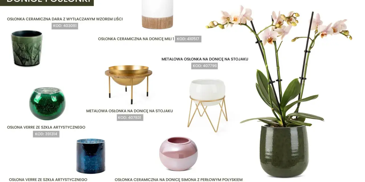 Jaka doniczka do storczyka? Elegancka, zielona, ceramiczna osłonka Talia podkreśli piękno storczyka.