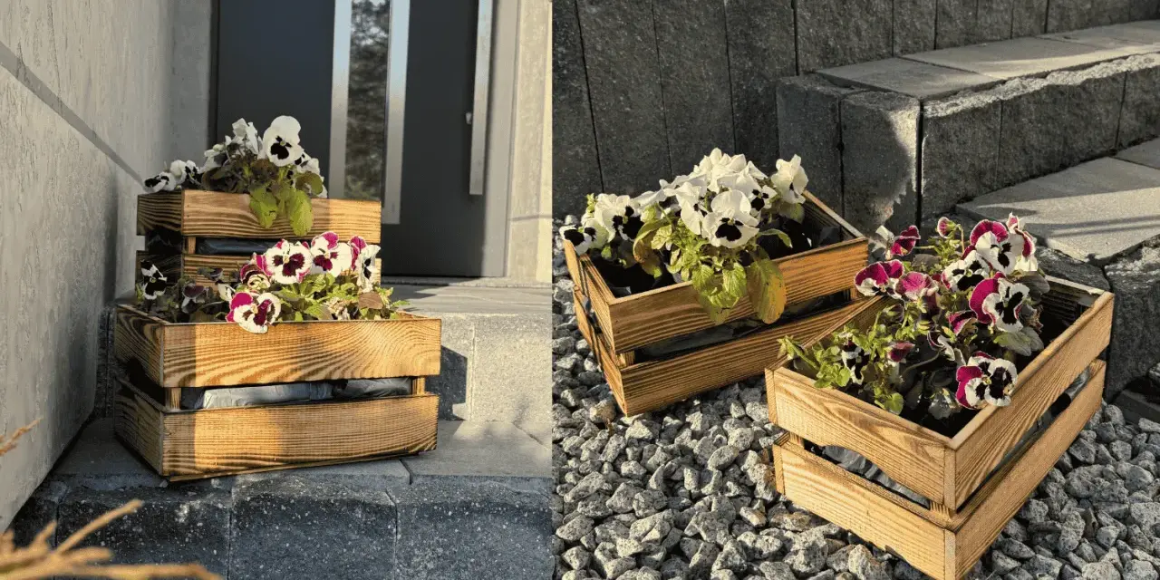 Jak zrobić flower box? Drewniane skrzynki z bratkami zdobią wejście do domu.