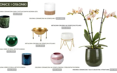 Jaka doniczka do storczyka? Elegancka, zielona, ceramiczna osłonka Talia podkreśli piękno storczyka.