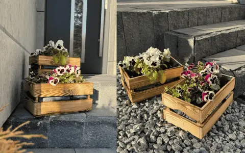 Jak zrobić flower box? Drewniane skrzynki z bratkami zdobią wejście do domu.