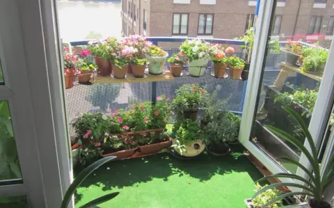 Balkon inspiracje: kwitnące pelargonie i zioła na zielonym trawniku, z widokiem na rzekę i budynki.