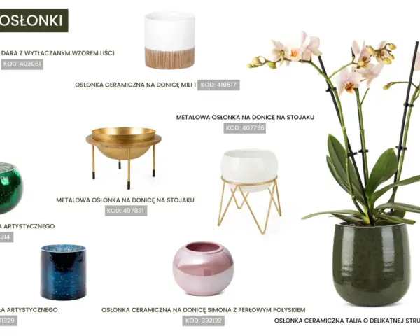 Jaka doniczka do storczyka? Elegancka, zielona, ceramiczna osłonka Talia podkreśli piękno storczyka.