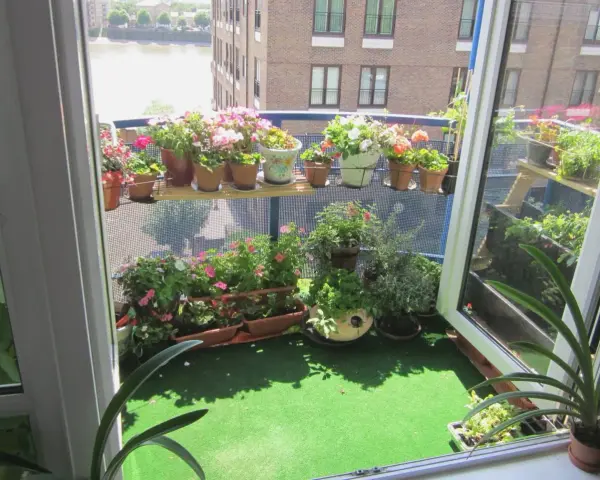 Balkon inspiracje: kwitnące pelargonie i zioła na zielonym trawniku, z widokiem na rzekę i budynki.