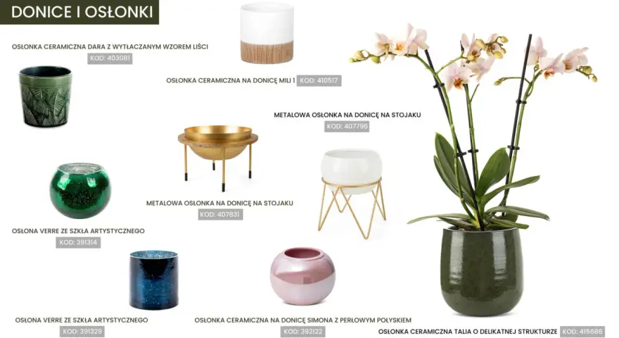 Jaka doniczka do storczyka? Elegancka, zielona, ceramiczna osłonka Talia podkreśli piękno storczyka.