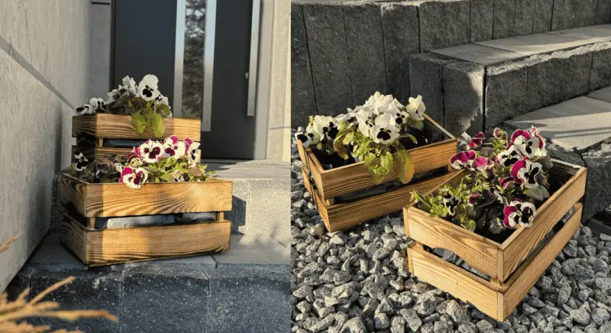 Jak zrobić flower box? Drewniane skrzynki z bratkami zdobią wejście do domu.